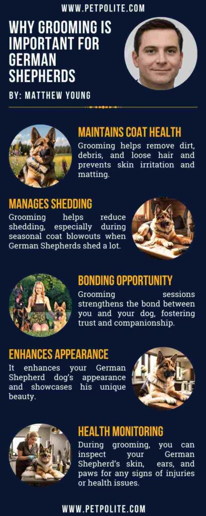 An infographic explaining the importance of professional grooming for German Shepherds.