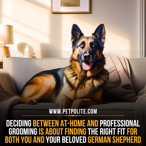 Do German Shepherds need professional grooming?