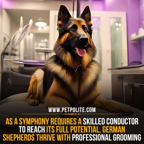 Why do German Shepherds need professional grooming?