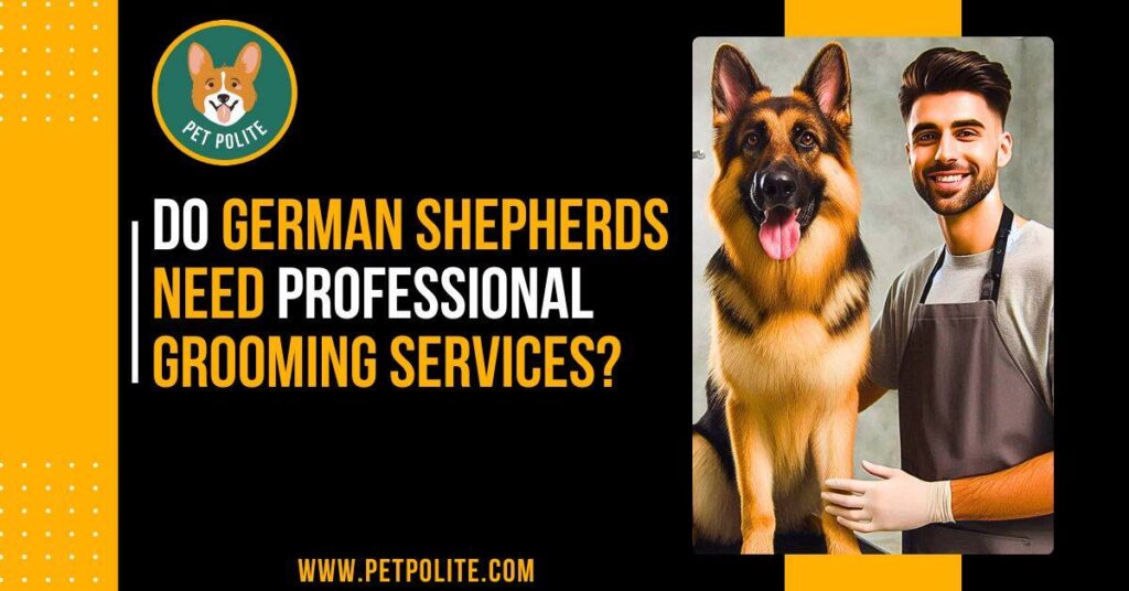 Why professional grooming is important for German Shepherd dogs?