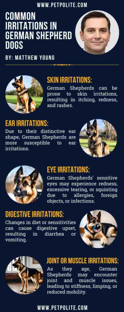 An infographic showing what are some common irritations German Shepherd dogs might have.