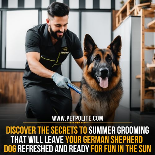 Can i groom my German Shepherd dog in the summer?