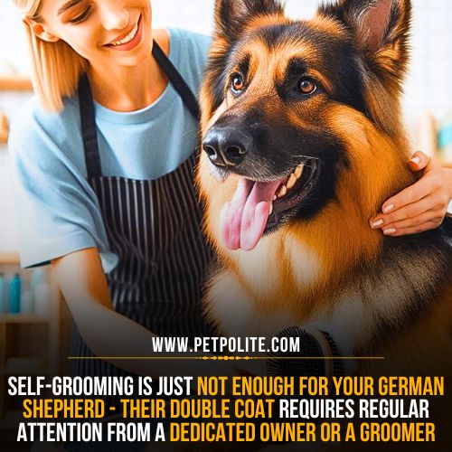 Do German Shepherd dogs have self-grooming habits?