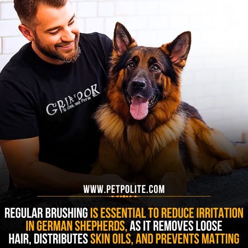 How to reduce skin irritation in German Shepherd dogs?