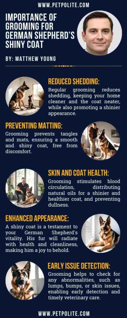 An infographic showing the importance of grooming for shiny German Shepherd coat.
