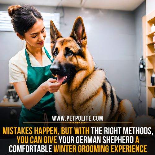A female groomer carefully grooming a German Shepherd dog in a pet salon.
