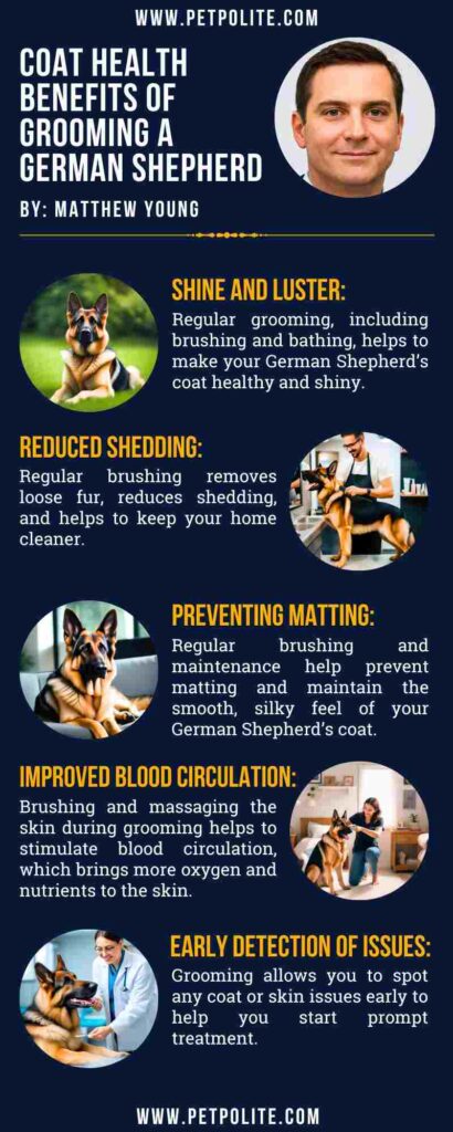 An infographic showing the coat health benefits of grooming a German Shepherd.