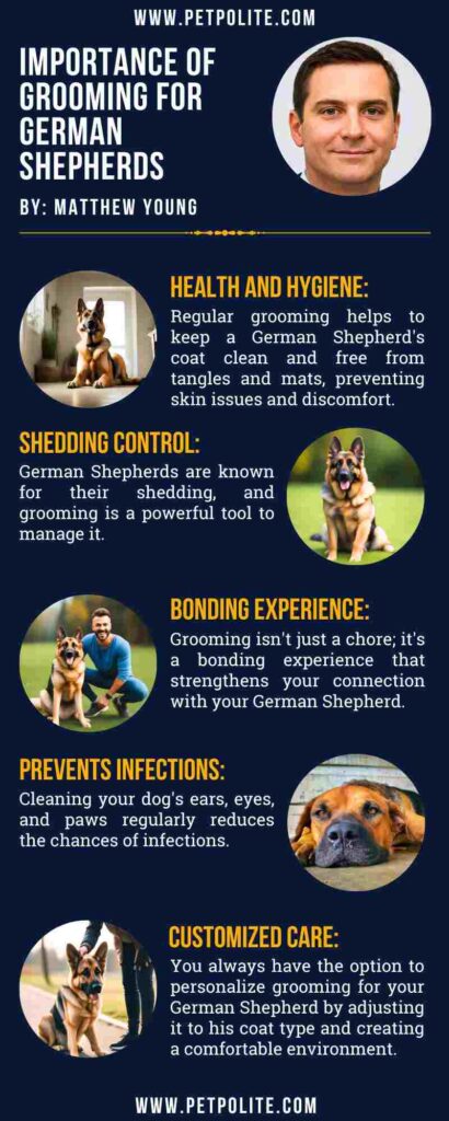 An infographic showing the importance of grooming the German Shepherd.