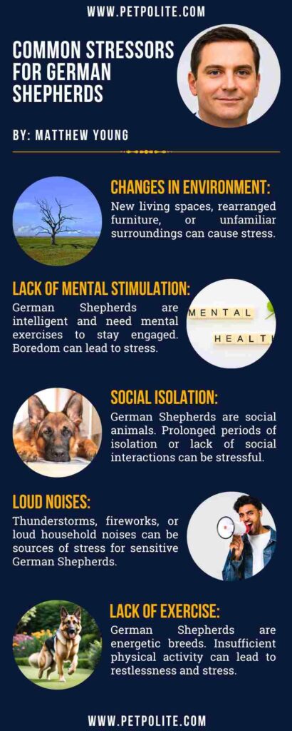 An infographic showing common stressors for German Shepherds.