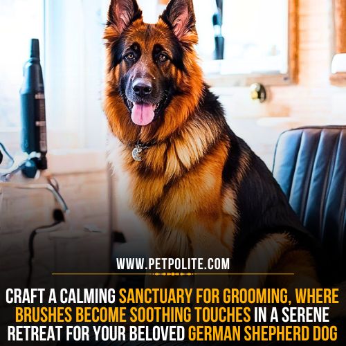 Can grooming be a stress reduce for German Shepherds?