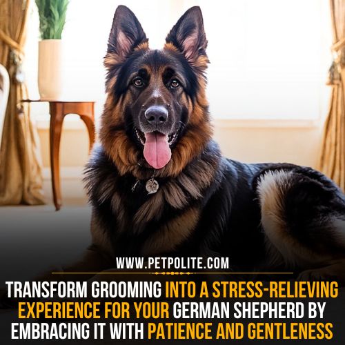 How grooming helps reduce stress in German Shepherds?