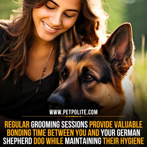 A girl hugging her German Shepherd, radiating love and companionship in a heartfelt moment.