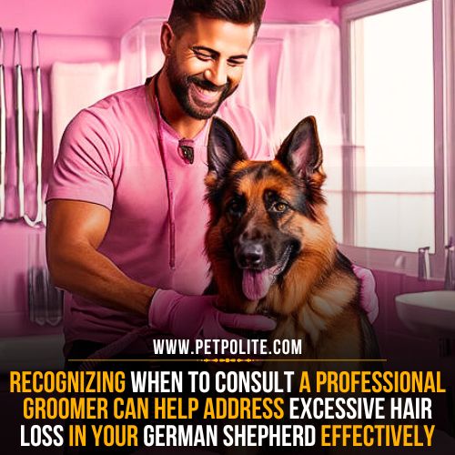 does grooming cause hair loss in german shepherd dog
