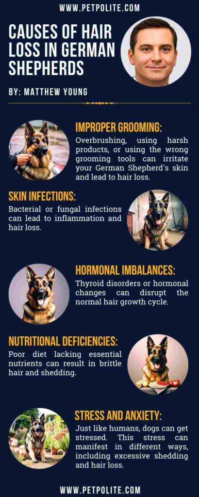 An infographic showing causes of hair loss in german shepherds
