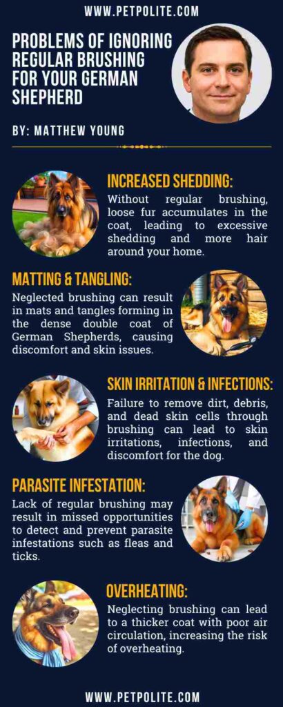 An infographic showing problems caused by infrequent brushing routine for German Shepherd dogs.
