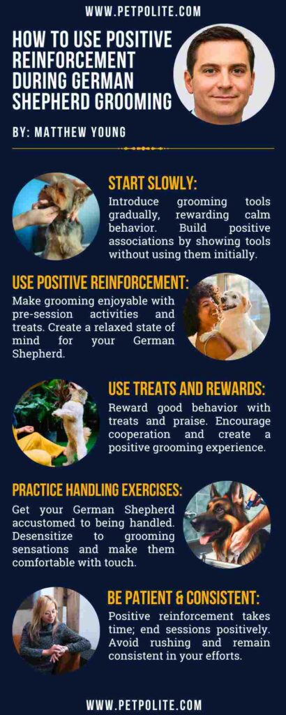 An infographic showing positive reinforcement during German Shepherd grooming