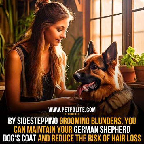 does grooming cause hair loss in german shepherds