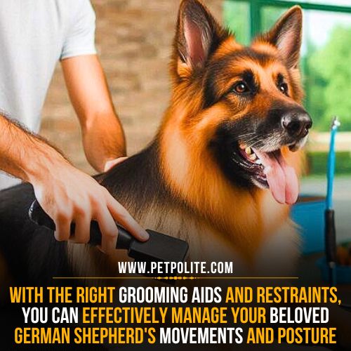 How you can handle your German Shepherd dog during the grooming session