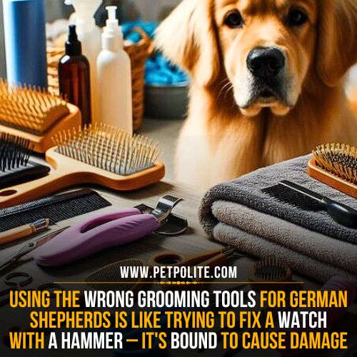 What are german shepherd grooming mistakes?