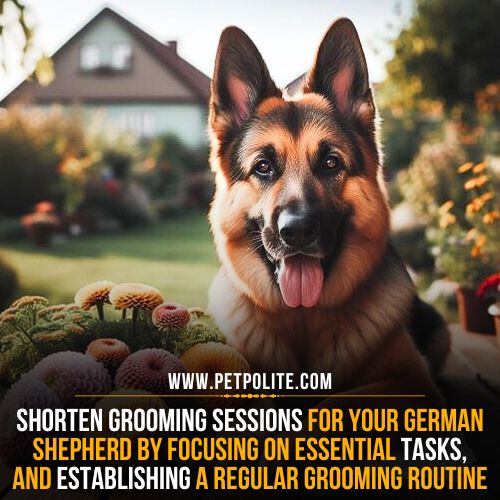 A german shepherd dog enjoying in a house lawn