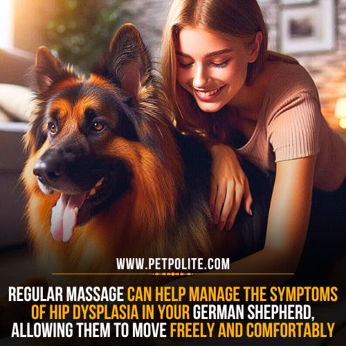 A girl massaging her German Shepherd dog with love.