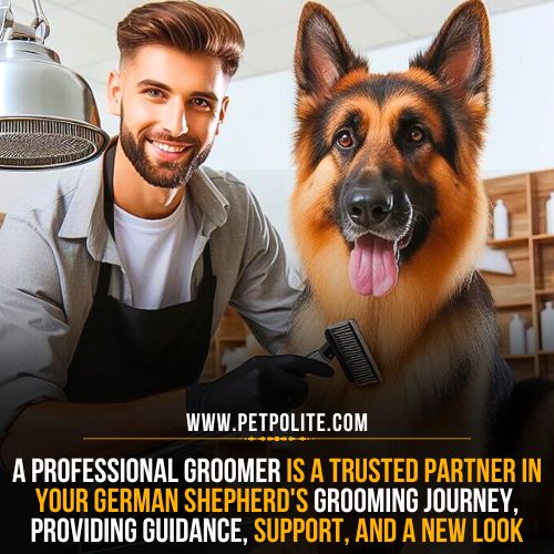 A pet groomer sitting with a German Shepherd dog during a grooming session.
