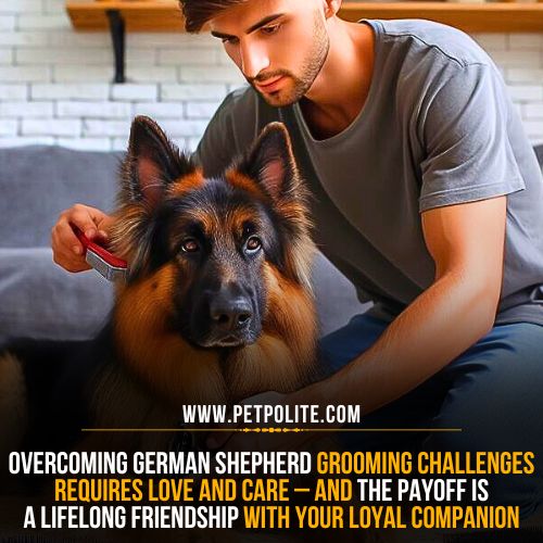 How to overcome German Shepherd grooming challenges?