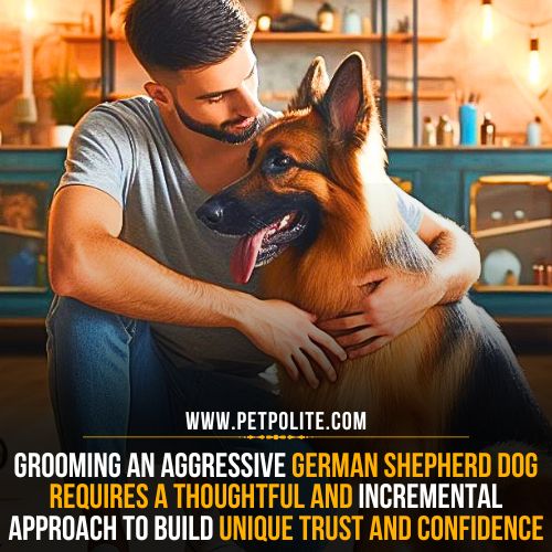 A person loving his German Shepherd dog before a grooming session.