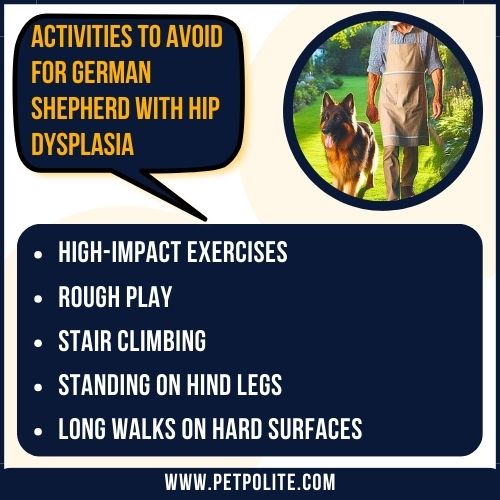 An illustration showing activities to avoid for German Shepherd with hip dysplasia.