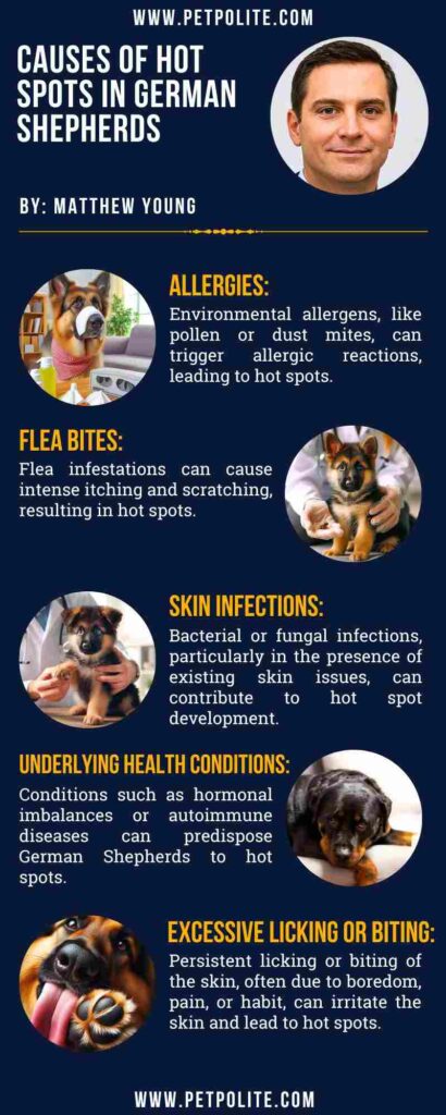 An infographic showing causes of hot spots in german shepherd dogs