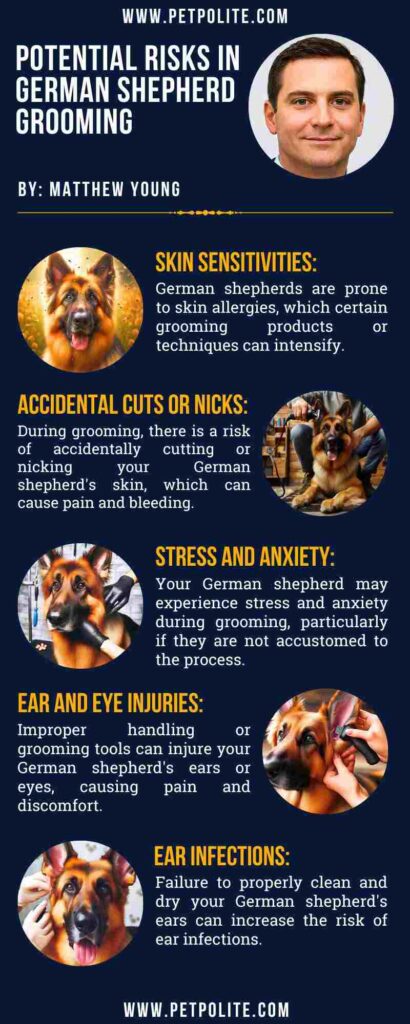 An infographic showing potential risks in German Shepherd grooming.