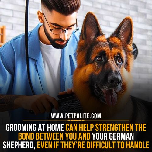Are German Shepherd dogs difficult to groom?