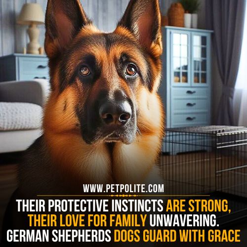 Are German Shepherds difficult to groom dogs?