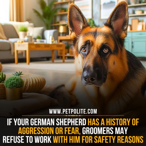 Are German Shepherds difficult to groom?