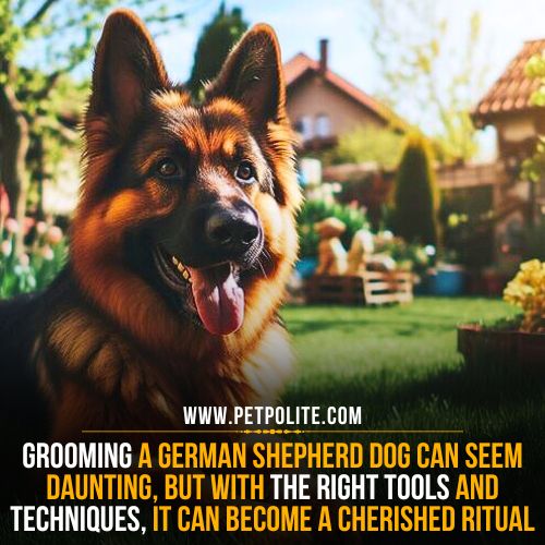 Are german shepherds hard to groom?