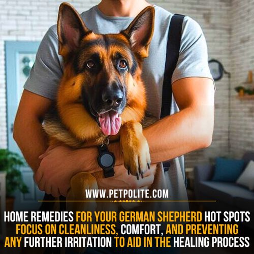 Can grooming cause hot spots on German Shepherd dogs