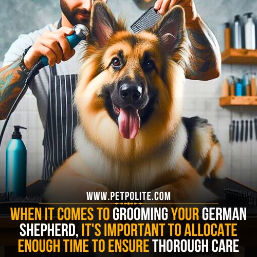 How long does it take to groom a German Shepherd dog