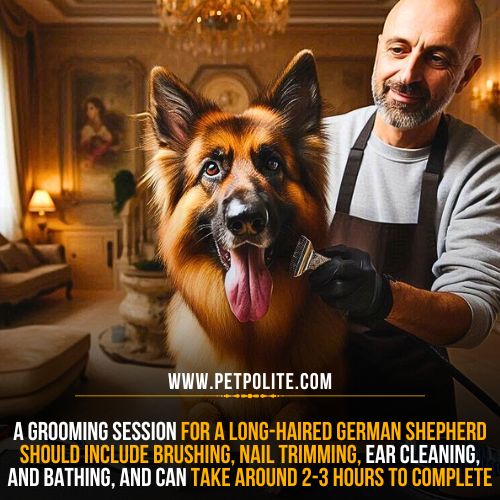 A pet groomer gently brushing the German Shepherd coat in his pet salon.