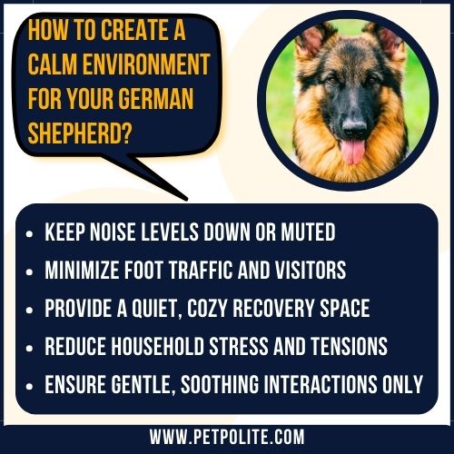 An illustration explaining how to create a calm environment for German Shepherds.