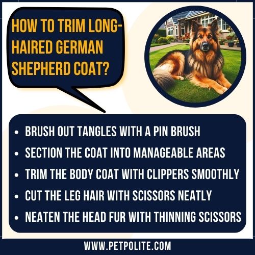 An illustration showing how to trim long-haired German Shepherd dog.