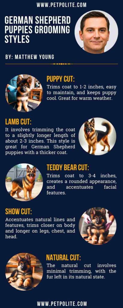 An infographic showing German Shepherd puppies' grooming styles.