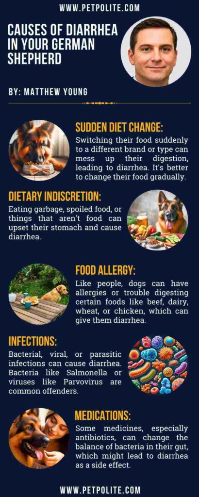 An infographic showing the causes of diarrhea in German Shepherds.