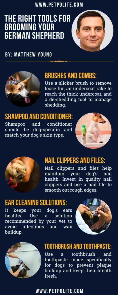 An infographic showing the right tools for German shepherd grooming.