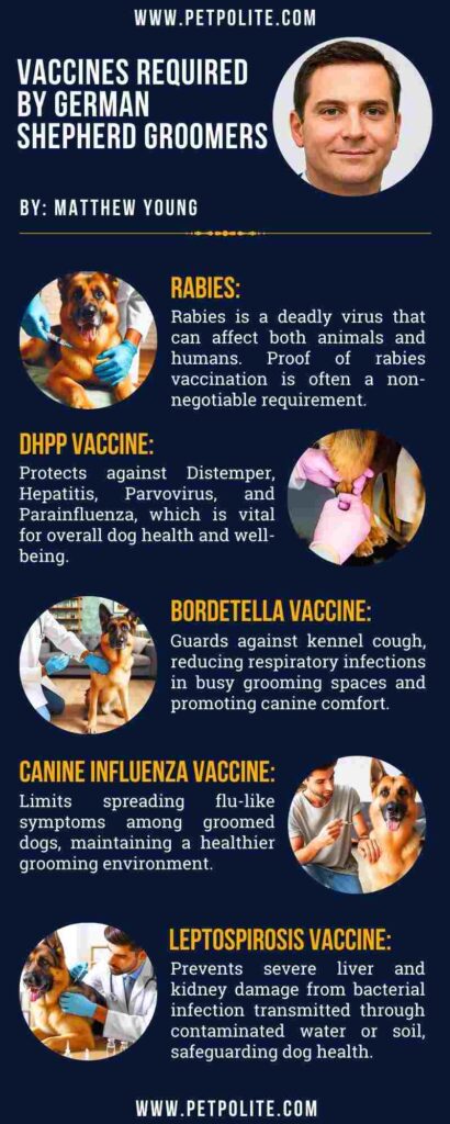 An infographic showing vaccination requirements for German Shepherds at grooming salons.