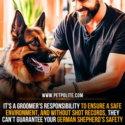 Can your German Shepherd get groomed without vaccine shot records?