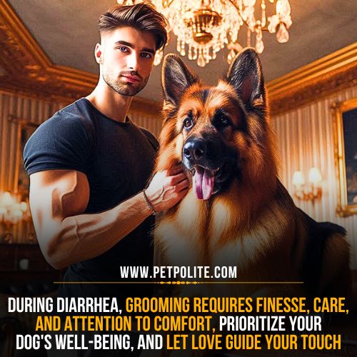 Can you groom your German Shepherd during diarrhea?