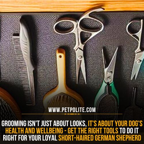 German Shepherd grooming tools