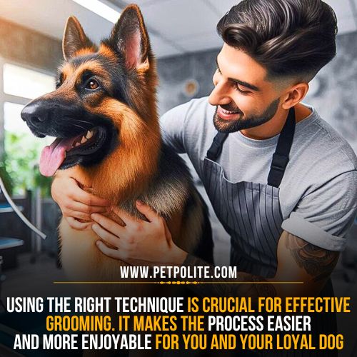 A pet groomer loving the German Shepherd dog during a grooming session.