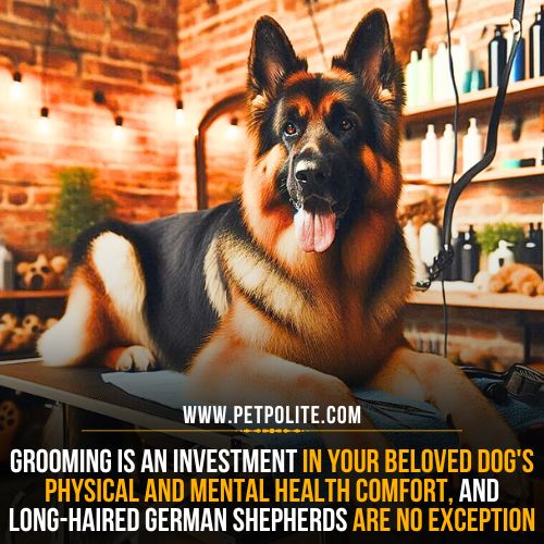 How to groom a Long haired German Shepherd?