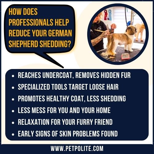 An illustration explaining the importance of professional groomer in reducing German Shepherd shedding.